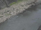 堀割橋付近のカメラ画像