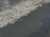 堀割橋付近のカメラ画像