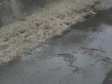 皆瀬川 堀割橋付近のカメラ画像
