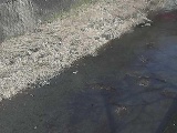 堀割橋付近のカメラ画像