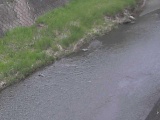 堀割橋付近のカメラ画像