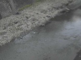 皆瀬川 堀割橋付近のカメラ画像