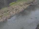 堀割橋付近のカメラ画像