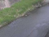 堀割橋付近のカメラ画像