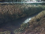 中村川 雑色付近のカメラ画像