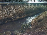 中村川 雑色付近のカメラ画像