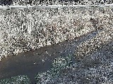 中村川 雑色付近のカメラ画像
