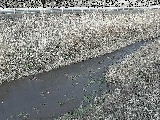 中村川 雑色付近のカメラ画像
