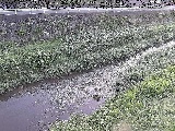 中村川 雑色付近のカメラ画像