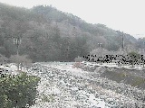虫沢川 谷戸口橋付近のカメラ画像