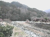 虫沢川 谷戸口橋付近のカメラ画像