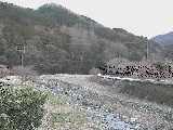 虫沢川 谷戸口橋付近のカメラ画像