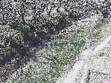 滝沢橋付近のカメラ画像