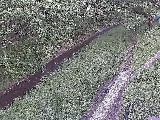 滝沢川 滝沢橋付近のカメラ画像