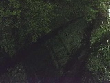 滝沢川 滝沢橋付近のカメラ画像