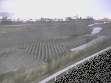 酒匂川 富士道橋付近のカメラ画像