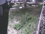 早川 大窪橋付近のカメラ画像