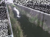 山王川 東洋橋付近のカメラ画像