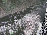 千歳川 千歳付近のカメラ画像