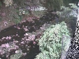 千歳川 千歳付近のカメラ画像