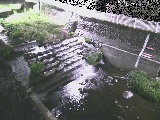 新崎川 新崎橋付近のカメラ画像