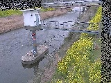 狩川水位観測所付近のカメラ画像
