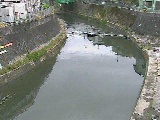 宮崎橋付近のカメラ画像