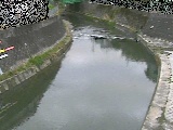 帷子川 宮崎橋付近のカメラ画像
