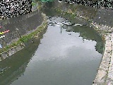宮崎橋付近のカメラ画像