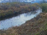 落合橋付近のカメラ画像