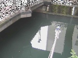 西鶴屋橋付近のカメラ画像