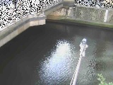 西鶴屋橋付近のカメラ画像