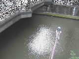 帷子川分水路 西鶴屋橋付近のカメラ画像