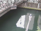 西鶴屋橋付近のカメラ画像