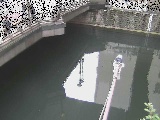 帷子川分水路 西鶴屋橋付近のカメラ画像