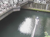 西鶴屋橋付近のカメラ画像