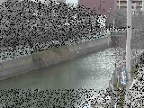 石崎橋付近のカメラ画像