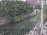 石崎橋付近のカメラ画像