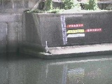 元平沼橋付近のカメラ画像