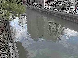 新田間川 新田間橋付近のカメラ画像