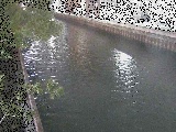 新田間橋付近のカメラ画像