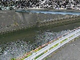 柏尾川 鷹匠橋付近のカメラ画像
