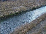 柏尾川 元町橋付近のカメラ画像