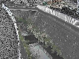 中堀川 愛宕白根橋付近のカメラ画像