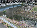鶴見川 寺家橋付近のカメラ画像