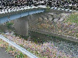 寺家橋付近のカメラ画像
