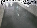 屏風ヶ浦橋付近のカメラ画像