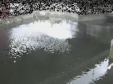 中村川 蒔田公園付近のカメラ画像