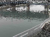 堀割川付近のカメラ画像