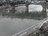 堀割川付近のカメラ画像